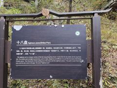 -牛背梁国家森林公园