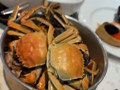 -半岛听涛蒸汽海鲜自助(K11店)