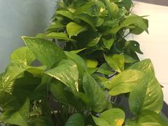 -潮童星少儿模特时尚中心(黄浦博荟广场店)