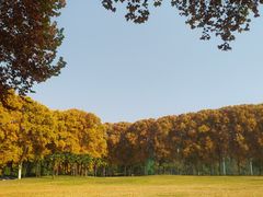-河南省黄河迎宾馆