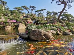 -罗红摄影艺术馆