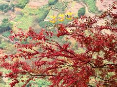 -雁荡山三折瀑景区