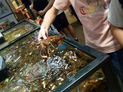 -盒马鲜生(皇庭广场店)