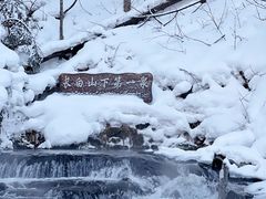 -峡谷浮石林景区