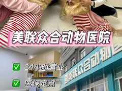-美联众合动物医院·24h京西诊疗中心