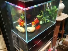 -大书房咖啡(中传国交店)