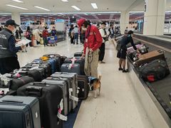 -TIAT DUTY FREE SHOP NORTH(羽田机场店)