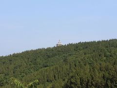 -原山国家森林公园