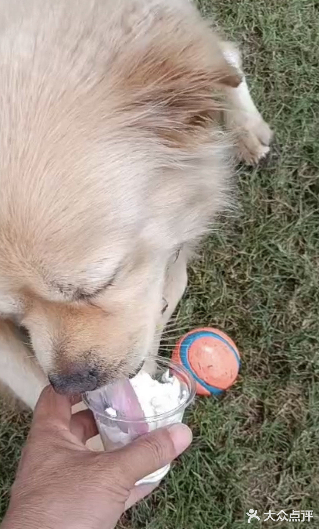 [胜利]So Lucky 太感谢Manner啦 🐶有福啦[调皮]