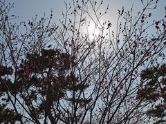 -南阳卧龙岗武侯祠