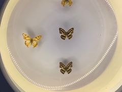 -下渚湖国家湿地公园科普馆