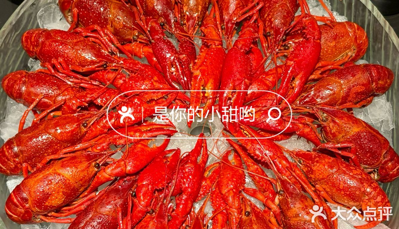 520龙虾狂欢 夏日清凉一“把”冰镇小龙虾🦞