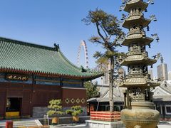 -天津大悲禅院