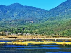 -腾冲北海湿地