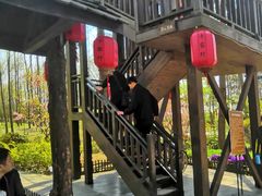 -合肥滨湖国家森林公园