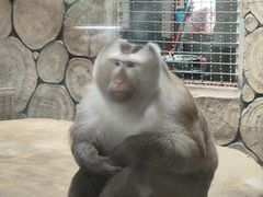 -黔灵山公园