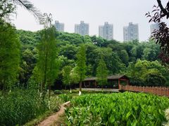 -重庆彩云湖湿地公园