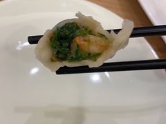 荠菜大虾水饺-船歌·鱼水饺青岛菜(国贸商城店)