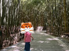 -宝鸡植物园