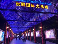 -广州长隆国际大马戏