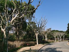 -黄兴公园