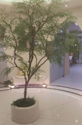 -亦美瑜伽·普拉提