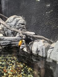 -Zoolung Zoolung动物主题公园(海信广场店)