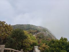 -梧桐山风景名胜区