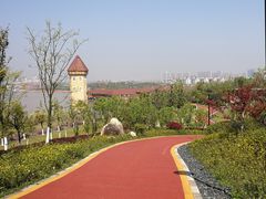 -九龙湖公园