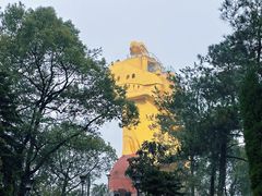 -大金鹰园
