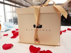 -BLACKSWAN黑天鹅(环球店)