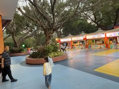 -广州长隆国际大马戏