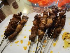 -鼎原力量东北吊炉烧烤(临河街店)