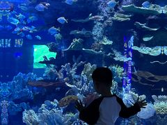 -左海海底世界