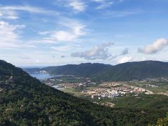 -三亚亚龙湾人间天堂鸟巢度假村