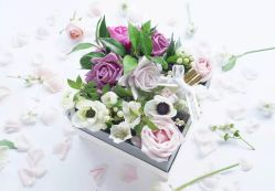 -SCENT BOUTIQUE