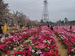 -盈香心动乐园