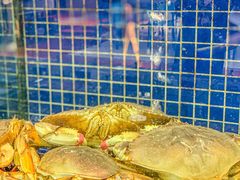 -明记海鲜大排档(巽寮湾店)