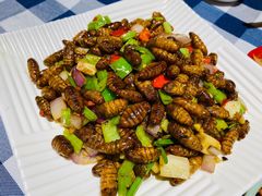 爆炒蚕蛹-燕青小馆(东园大厦店)