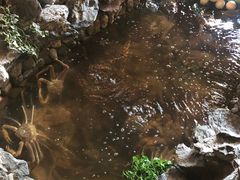-綱元·海鲜豆捞(明州里店)