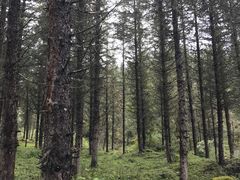 -硗碛藏寨·神木垒景区