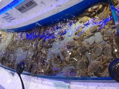 -澜悦港海鲜体验主题餐厅