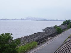 -上海滨江森林公园