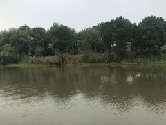 -长兴太湖图影湿地文化园