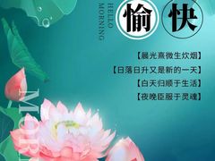 -老码头火锅(玉林店)