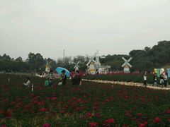 -松山湖梦幻百花洲