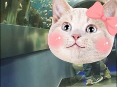-石家庄海洋公园