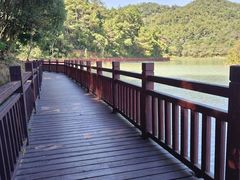 -广州白江湖森林公园