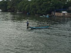 -尼甘布海鲜市场