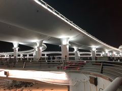 -演武大桥观景平台